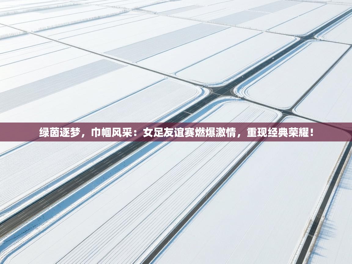 绿茵逐梦,巾帼风采:女足友谊赛燃爆激情,重现经典荣耀! 第1张